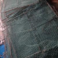 P网45*55 加密天落笼信鸽只进不出鸽子笼抓鸽子陷阱鸟笼鸽笼跳笼拼装撞门笼