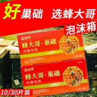 [10片装-蜂大哥]中蜂巢础 蜂大哥中蜂巢础片蜂蜡巢基深房蜜蜂巢础蜂箱专用蜂脾巢框养蜂工具