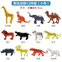 12只野生动物 儿童仿真恐龙动物玩具仿真家禽公园动物模型塑胶霸王龙软胶动物