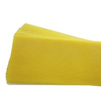 中蜂巢础30片 尺寸41.5*19.5 中蜂巢础蜂巢巢皮蜂脾巢脾八千蜂蜡片蜜蜂专用蜂具养蜂工具