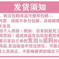 桌面训练笼套装(节约空间) 花枝鼠仓鼠笼子别墅宠物房子别墅宠物笼子小动物笼子别墅DIY搭配
