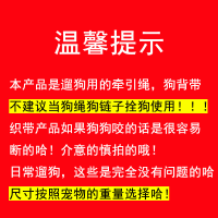 蓝色[反光尼龙织带]狗背带+牵引绳 S[建议3-8斤] 户外宠物溜狗绳牵引绳狗背带小型中型大型犬链子柯基法斗泰迪家用