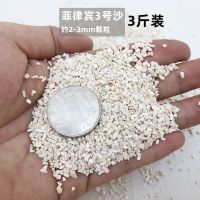 3号沙3斤(2-3mm) 菲律宾沙贝壳沙珊瑚砂白沙鱼缸底砂造景海缸三湖慈鲷寄居蟹底沙石