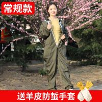 M(150-168)40-65kg 常规款[不带风扇送手套] 连体防蜂衣防蜂服全套透气蜂帽防蜂防蛰面罩取蜂蜜衣服养蜜蜂专