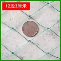 12股3厘米经济型养鸡网 1米高*10米长 100米加粗养鸡网栏鸡网养殖网菜园网围山鸡网防鸟网围栏网尼龙网