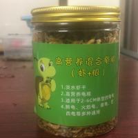 [精品龟粮+虾米] 一只 家养外塘宽纹火焰龟碌火焰缸素食吃菜乌龟活物宠物乌龟深水吃鱼粪