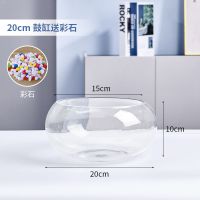 20鼓缸+彩石 办公室小鱼缸加厚透明玻璃乌龟缸客厅家用桌面圆形迷你小型金鱼缸