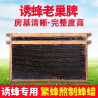 1张 老巢脾 长冀 诱蜂脾带框老巢脾成品巢框中蜂土蜂巢础养蜂专用蜂巢蜂具