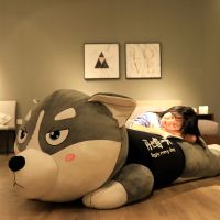 哈士奇耍酷(开心每一天) 1米(中号-彩袋装) 哈士奇公仔布娃娃可爱毛绒玩具女孩睡觉抱枕玩偶生日礼物大号床上