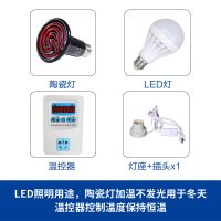 加热灯*1--温控器--LED 爬宠饲养箱陆龟箱保温箱蜥蜴刺猬仓鼠守宫PVC饲养箱