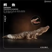 鳄鱼(经典款 嘴部可动) 童德 鳄鱼模型儿童仿真动物玩具实心史前野猪鳄尼罗鳄短吻鳄凶