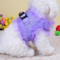 紫罗兰 L 奶狗幼犬泰迪宠物胸背带牵引绳套装小型犬猫咪比熊公主蕾丝遛狗绳