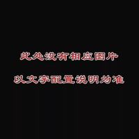 2位裸笼 强晟鸽子笼子加粗2位4位6位阳台鸽子笼信鸽配对笼养殖笼家用大号