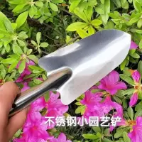 不锈钢小园艺铲 锰钢锻压园林种菜养花铲子松土移栽小铁锹户外赶海挖野菜农艺工具