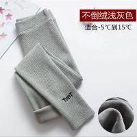 字母浅灰色[超柔不倒绒] M [80-110]斤 加绒加厚打底裤女外穿秋冬韩版高腰显瘦小脚长裤大码保暖棉裤子