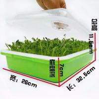 1套加深带盖盘(无赠品) 豆芽菜芽苗菜育苗盘小麦苗种子豆苗种植盘豆芽盆水培种菜发芽神器