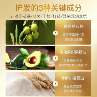 蛋白精华修护滋养干枯女士柔顺防毛躁洗发液