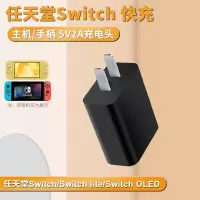 5V2A充电头[单头] 适用任天堂Switch数据线NS充电线Switch lite游戏机type-c充电线