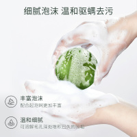 艾叶苦参 100ml 除螨皂面部洗澡硫磺皂洗脸去螨虫香皂身体清洁背部后背手工皂男女