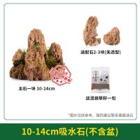只买石头(送草籽配石) 10-14cm吸水石 天然吸水石盆景原石上水石假山石流水喷泉鱼缸石头造景石装饰摆件