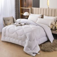 进口羽绒棉被(白) 150*200(4斤) 被子冬被学生宿舍单人棉被春秋太空调被加厚保暖被芯四季通用被褥