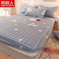 雏菊[夹棉床笠] 48x74cm枕套2只 夹棉床笠床罩床单单件透气床垫罩加厚防尘床罩套席梦思保护