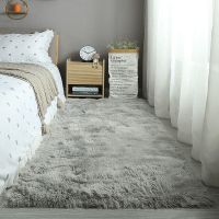 扎染水灰色 C+40*60厘米[体验装小] 加厚地毯卧室床边长毛绒ins少女耐脏房间铺地沙发茶几地毯地垫