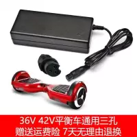 36V 三孔 郎平威龙适用于平衡车充电器三孔头通用36v雅步啊尔行车冲电器