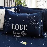 夜空LOVE 枕套[1只装] 枕套单人一只学生宿舍女男生枕头套装一对家用带枕芯大成人