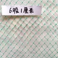 6股1厘米 1米宽 配绳 每5米价格 1厘米网眼小孔网一指网防鸟网鸡苗网养鸡网渔网养鸟网养殖网顶网