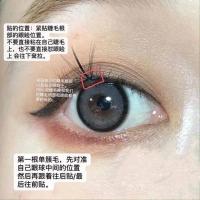 呗呗兔同款假睫毛A型仙女毛仙子朵毛单簇自然仿真混合睫毛嫁接套