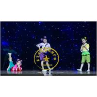 冰糖葫芦道具 小果直径3.5一串7个 第十届小荷风采少儿甜甜的糖球会中国风喜庆演出服冰糖葫芦音乐