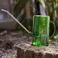1L绿色浇水壶 不锈钢长嘴浇水壶家用养花浇花洒水壶绿植淋花壶喷壶大号园艺工具