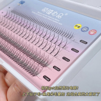 混合装鱼尾仙子毛假睫毛仙子下睫毛女单簇自然自粘自己嫁接眼睫毛