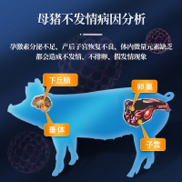 兽用催情散促孕宝多情素牛羊配种母猪诱情剂促进发情怀孕多胎