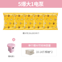 6件套[5爆大]1电泵 一年漏气包退换 真空压缩袋抽羽绒服被子专用衣服衣物收纳家用神器透明行李箱袋子