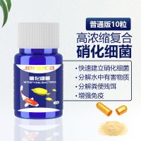 强化版硝化细菌胶囊[10粒装] 鱼缸硝化细菌胶囊硝化菌活菌水族消化细菌干粉鱼缸净水剂养鱼用品