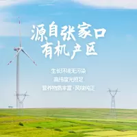 亚麻籽油250ml 初榨冷榨一级亚麻酸胡麻油小瓶油亚麻子食用油