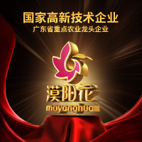 800ml 一级花生油原香特品800ML小瓶食用油物理压榨家用宿舍炒菜