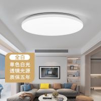 全白 21厘米白光12瓦 圆形led吸顶灯卧室灯简约现代客厅灯过道阳台灯超亮厨卫生间灯具