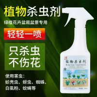 植物杀虫剂[1瓶装500ML] 植物花卉蔬菜多肉通用杀虫剂蚜虫蚧壳虫小黑飞百虫灵家用除虫喷雾