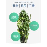 杜邦卫可宠物消毒剂官方宠乐消毒液猫咪专用杀菌粉狗室内家用喷雾