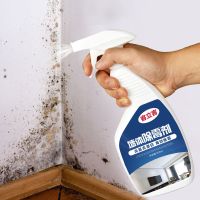 墙体除霉剂单瓶500ml 墙体除霉剂墙面除霉菌神器家用墙布去霉斑霉菌清洁剂防霉