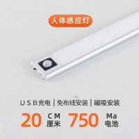20cm 感应[太空银] 白光 超薄无线手扫人体感应橱柜灯充电式衣柜鞋柜厨房led宿舍灯免打孔