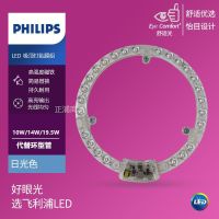 10W[白光6500K]圆形 单只装 LED吸顶灯改造灯板圆形灯芯模组替换环形灯管10W14W19W