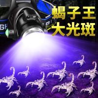 X20蝎子灯白紫光+2电+1充送聂子 蝎子灯捕蝎专用头灯紫光验钞强光远射变焦探照大光圈捉抓逮豆虫蝉