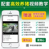 [4册]高效养猪技术书 猪病诊治防治一本通 猪场消毒防疫实用技术教材 养殖高产母猪手册 种猪饲养教程书籍 兽医参考书养