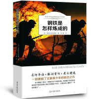 钢铁是怎样炼成的(加增考点) 正版钢铁是怎样炼成的傅雷家书八年级下册名原著课外阅读书籍