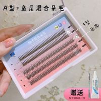 (送胶水+镊子)A型+鱼尾 仙子眼睫毛混合装鱼尾仙女毛a型假睫毛女单簇嫁接自然仿真