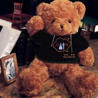 时光与你 拉直量60厘米(送玫瑰花+香包) 可爱泰迪熊布娃娃大号玩偶毛绒玩具抱抱熊猫公仔抱枕送女生日礼物